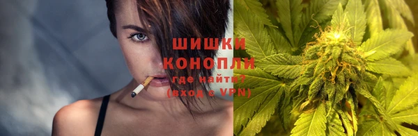 прущие грибы Беломорск