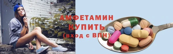 прущие грибы Беломорск
