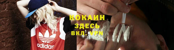 мдпв Белокуриха