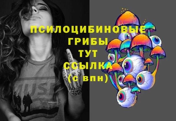 прущие грибы Беломорск