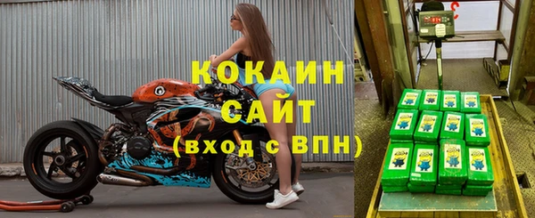 прущие грибы Беломорск