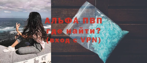прущие грибы Беломорск