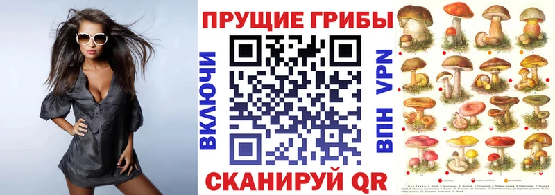 купить наркотик  Новая Усмань  Галлюциногенные грибы прущие грибы 